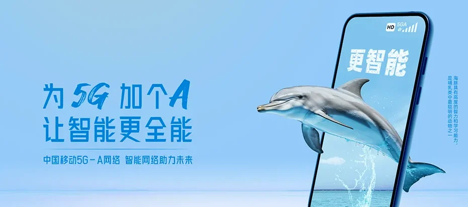 南湖区南湖阳光城瑞俊凤临溪岸 移动宽带
